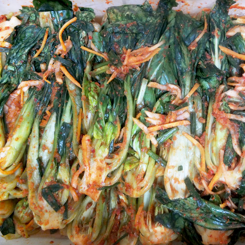 Bokchoy Kimchi