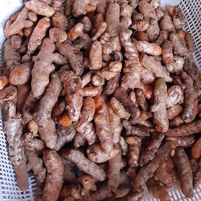 Royal Turmeric Fresh Root